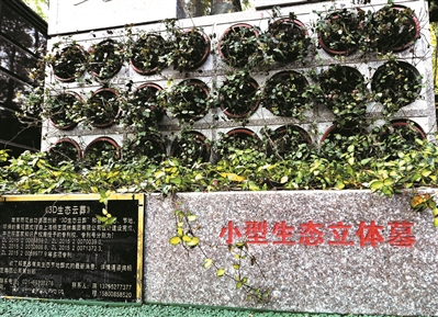 功德园小型生态墓最“抢手”