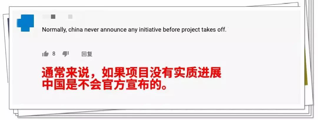 66356,宠物迷惑行为鉴赏!为什么80%的奶猫会对塑料袋情有独钟