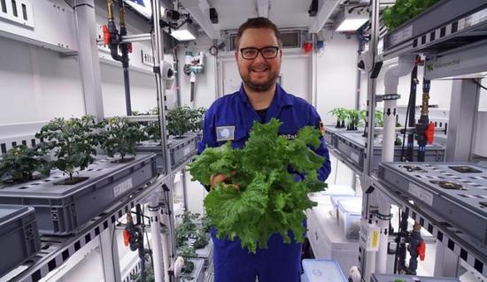 科学家在南极温室首次收获绿色蔬菜