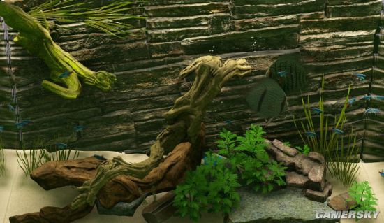 鱼缸模拟器《Biotope》上架Steam 画面逼真、3月29日发售