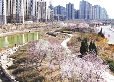 最是鲜花绽放时