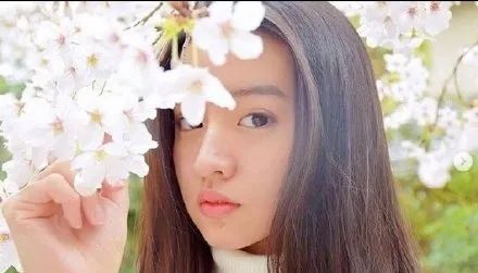 樱花女神大PK!杨幂baby倪妮李沁刘雯谁魅力强?