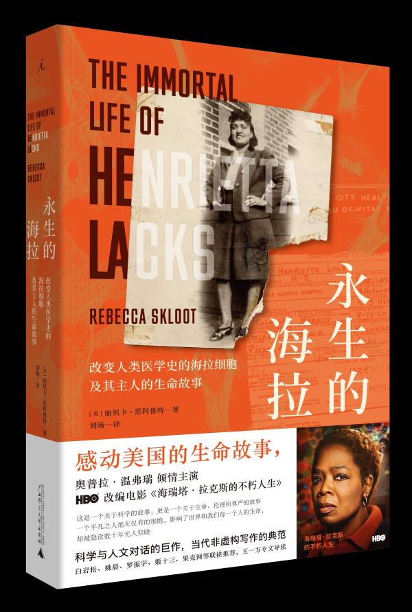 海拉细胞,揭开人体实验的黑历史与伦理审核的