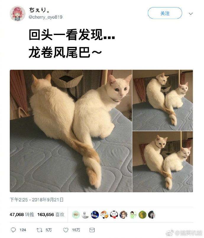 求别下雨了都晒不干内裤了 轻松一刻2月22日晚间版