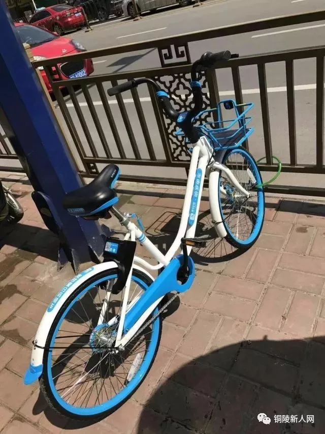 【跟着铜陵0323】共享单车才来铜陵几天,就变