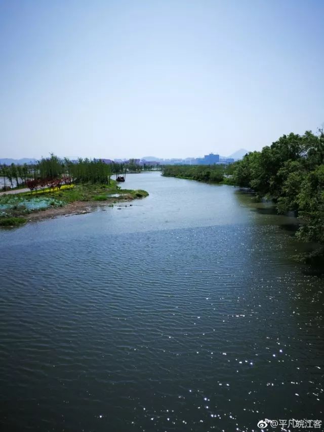 【跟着铜陵0415】惊呆!铜陵共享单车篮子被这