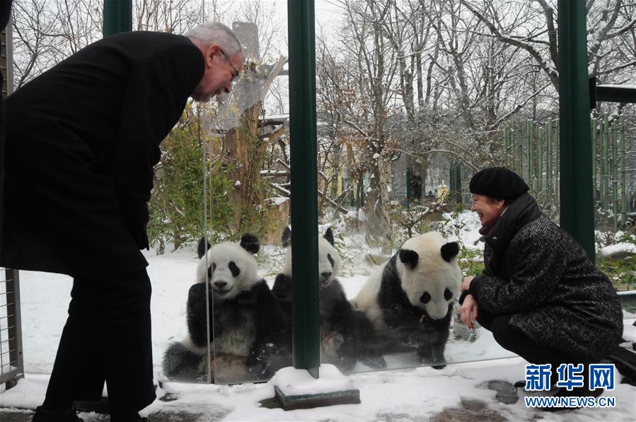 最近有什么绘画比赛