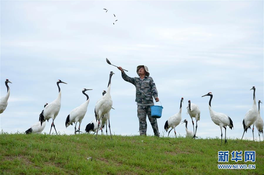 高鐵很晃是什么梗 