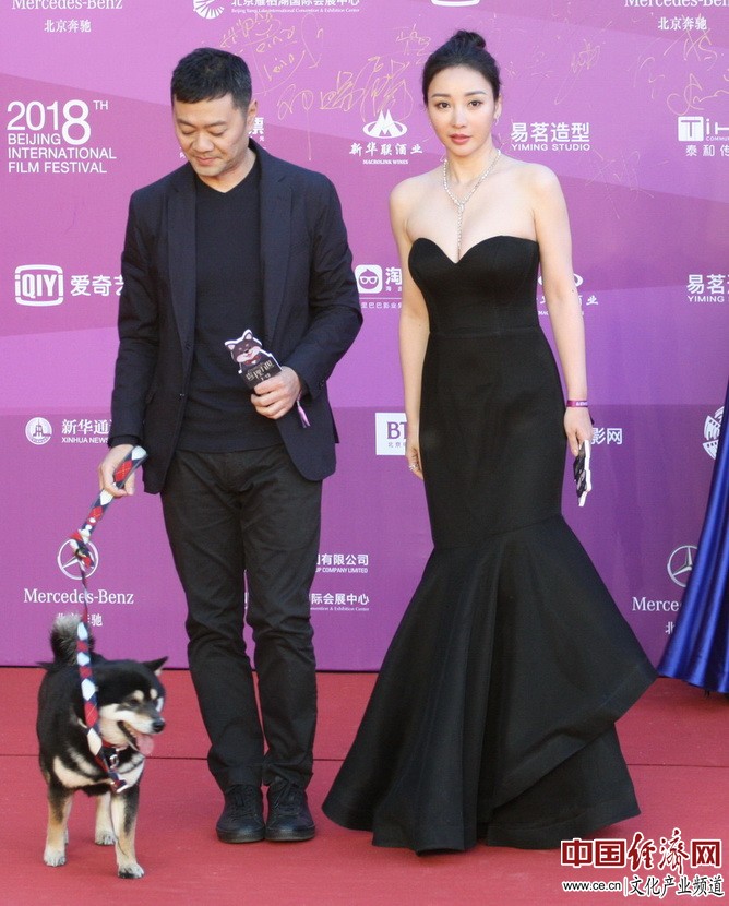 第八届北京国际电影节开幕红毯群星闪耀 王力宏压轴出场(组图)