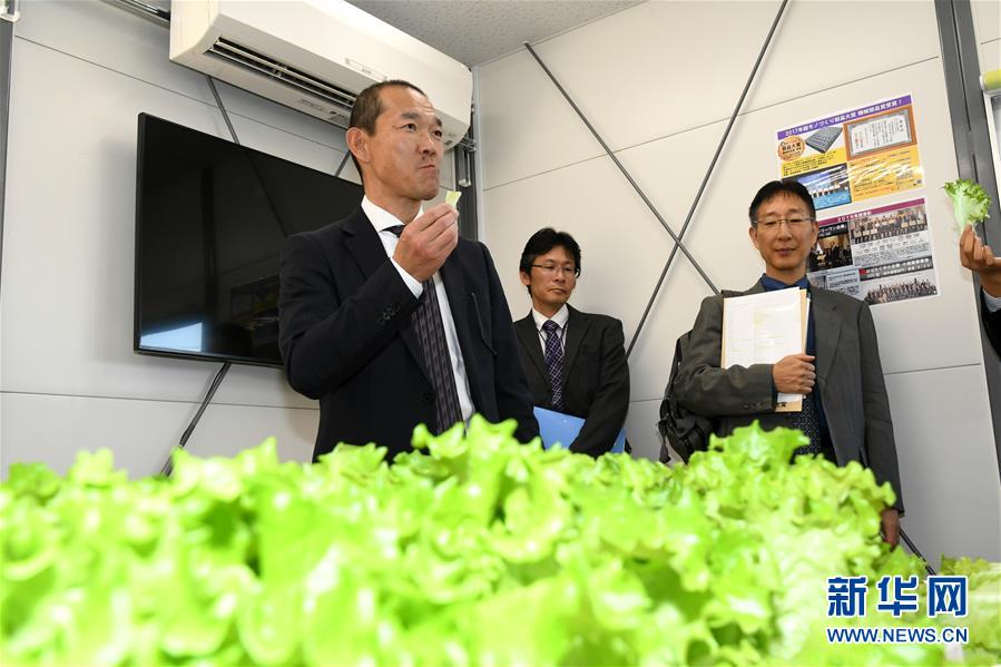 哪个软件可以约茶 _ 宠物狗名字,能约喝茶的软件