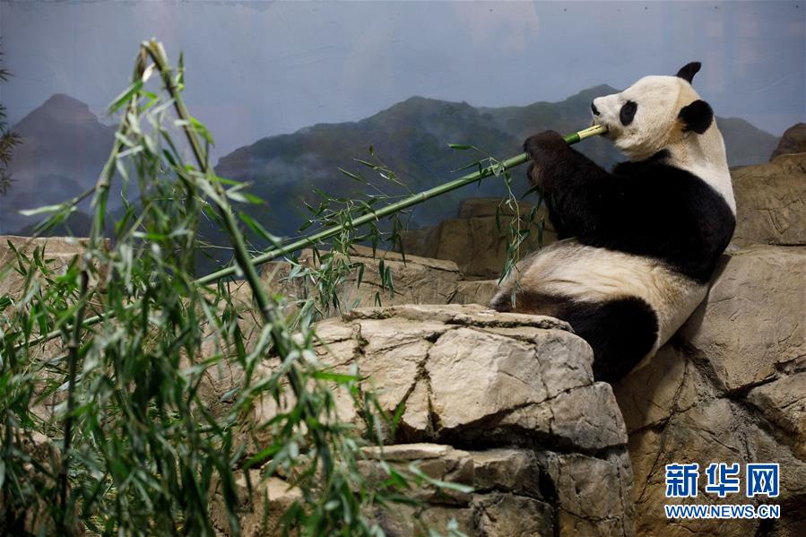 上海试管助孕医院 耳朵最里面特别痒