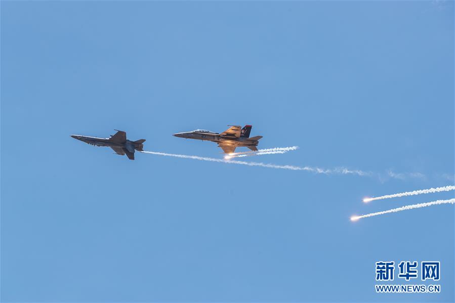 從「菜鳥」到「老歪」：揭秘綠茵場下的第二語言，你聽懂那些隱藏的財富密碼了嗎？ 