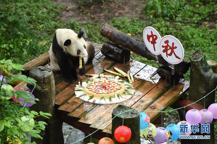 ﻿港高校纺织专业强 武港交流密切