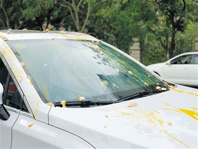 非常测试：车窗“被糊了”该如何处理？