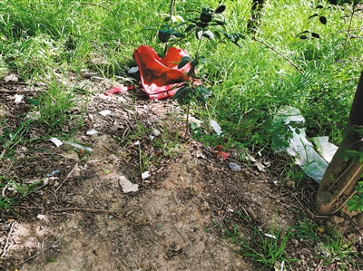 微信群里诽谤他人 女子被判公开道歉