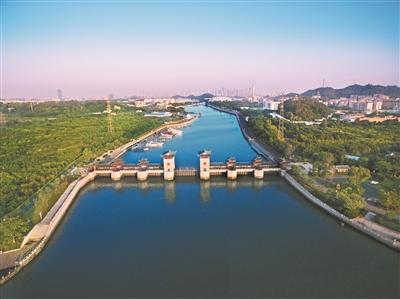 让绿色成为黄埔区高质量发展最美底色