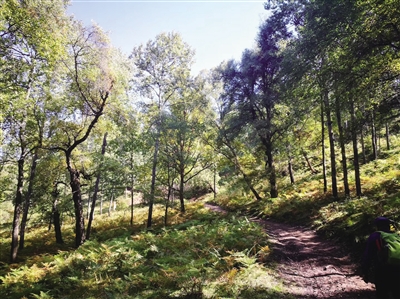 [森林旅游]青海森林游