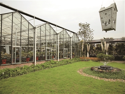 看山海水城 品魅力台州