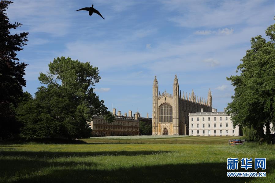 英国剑桥大学将部分调整下一学年教学模式