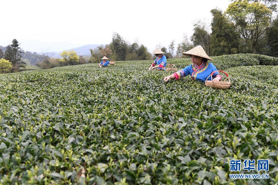 中国制造 | 贵州这座桥的施工难度超乎你想象