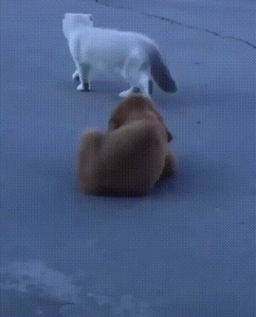 同九年，汝何秀？