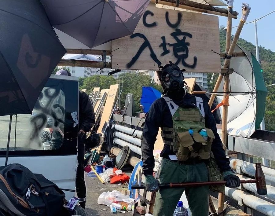 鸿博网上开户,山沟里躺着一对“龙凤巨狮”:重量估超3吨 至少有300岁