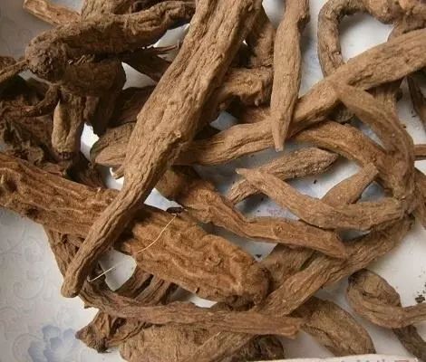 用动物泡酒不能直接喝!用这些药材泡酒有人喝