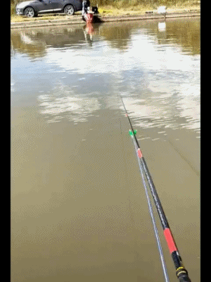 小伙下了什么诅咒，害得姑娘肚子疼。