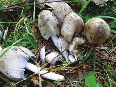 弋阳人口有多少人口_看了这组照片,弋阳人都在惊呼,这么靓,还是国道口吗(3)