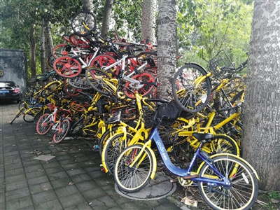 经常一车难求 北京减少的两成共享单车都去哪了？