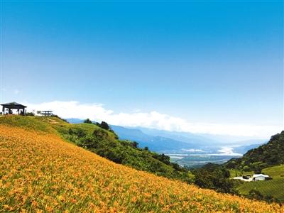 台湾花莲县金针花海景致壮美