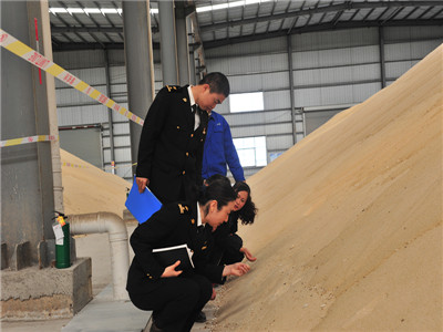 矗立在大丰的这个庞然大物能储存原糖20万吨