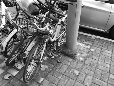 ofo退押金人数已超千万 三大问题亟待解决