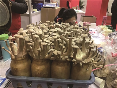 省农展会周日下午2点结束