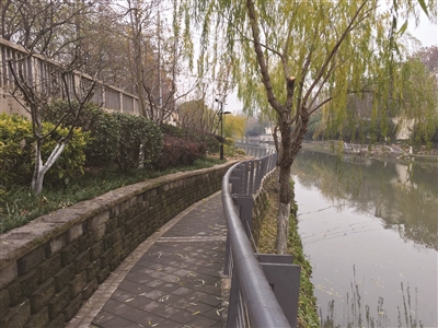 山青水绿背后有“秘密”