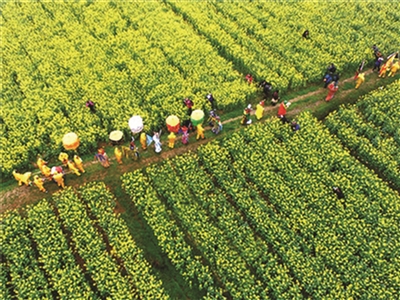 打开南京市江宁区谷里街道的“民生成绩单”