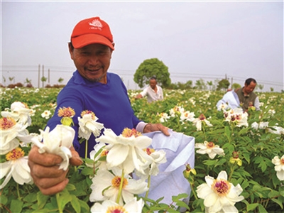 打开南京市江宁区谷里街道的“民生成绩单”
