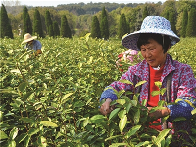 打开南京市江宁区谷里街道的“民生成绩单”
