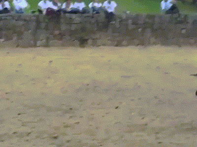 听说你们喜欢做选择题？ 动图 玉米棒还能这么用？