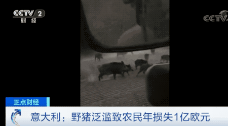 ag亚游j集团|DNF95级毕业装备升级100级史诗,所需材料多且耗时长