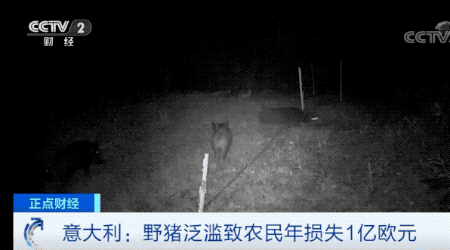 「轮盘赌城网站」奉贤南桥 12-23A-04A地块启动签约