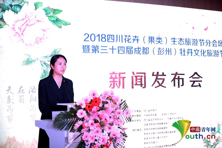 四川彭州300多万株牡丹含苞欲放