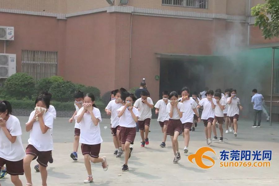 东莞中小学生校服管理有新规!这3个变化你必须