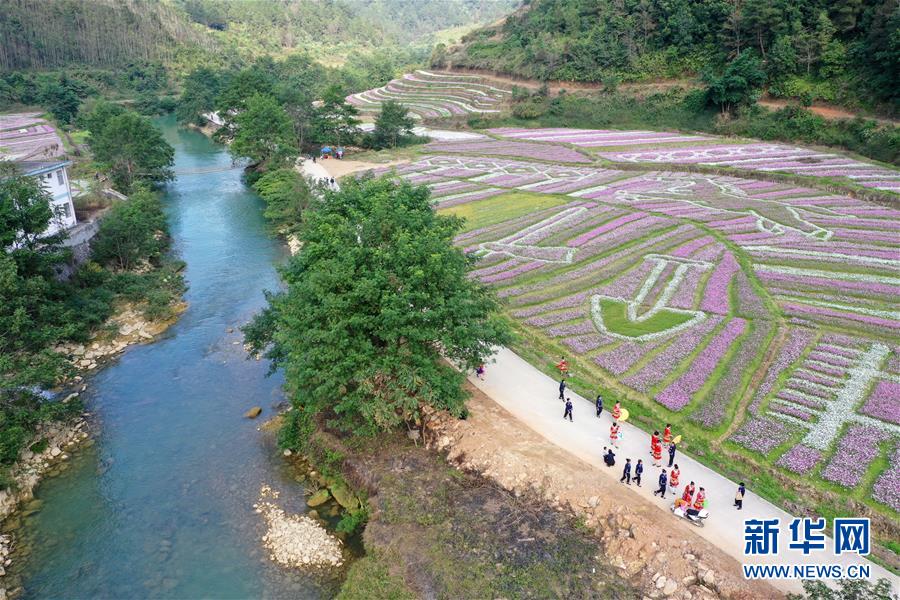 p2p如何地推引流