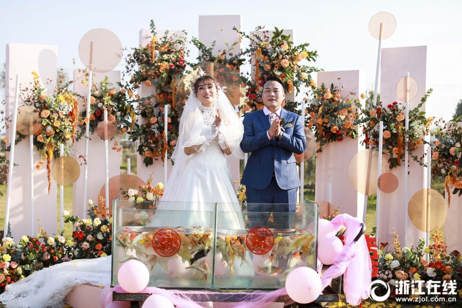 2020江门蓬江快餐 _ 院子景观树,江门蓬江网红景点