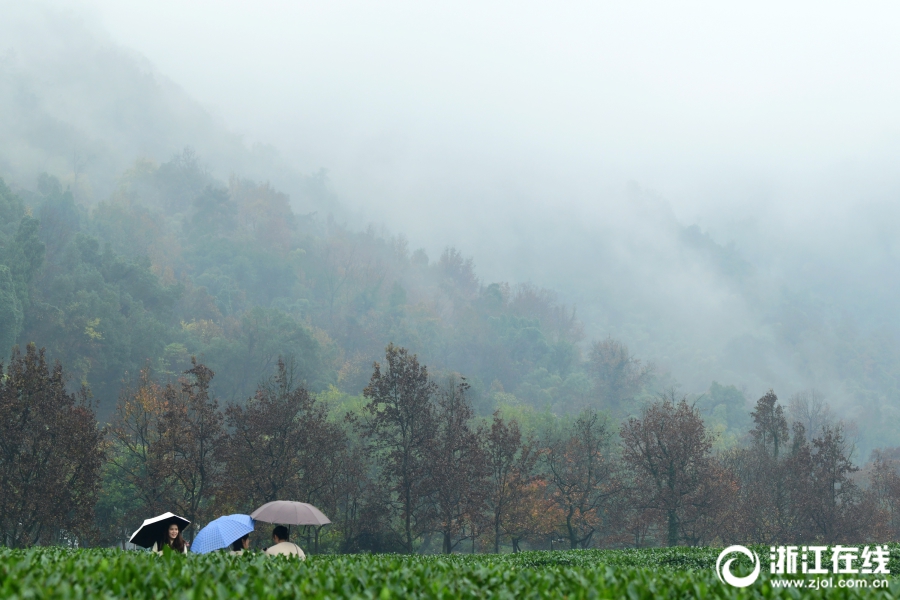  葡萄酒对中枢神经系统损伤的保护作用研究进展（二）