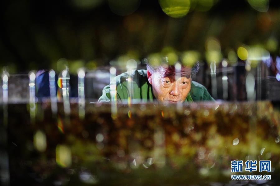  从小白到大神
：NBA 沉浸式的入门与进阶