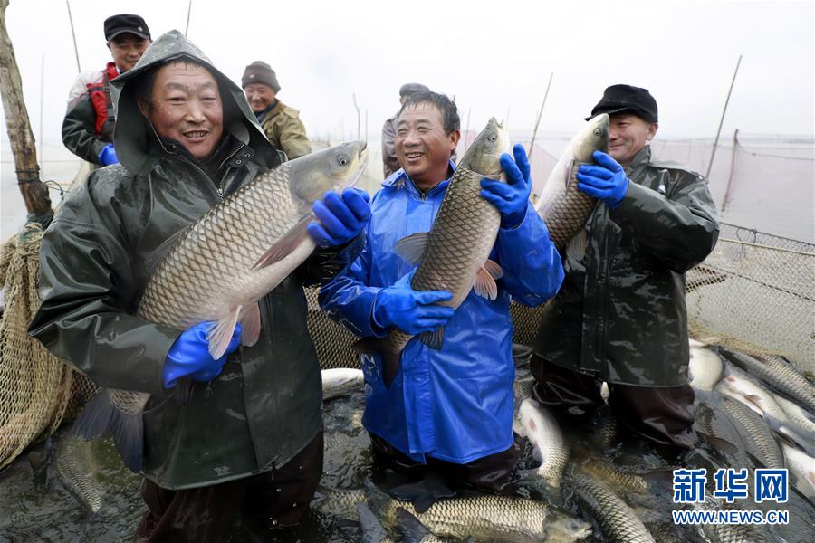 房价泡沫破灭 加拿大人付出代价：民众借钱买食物