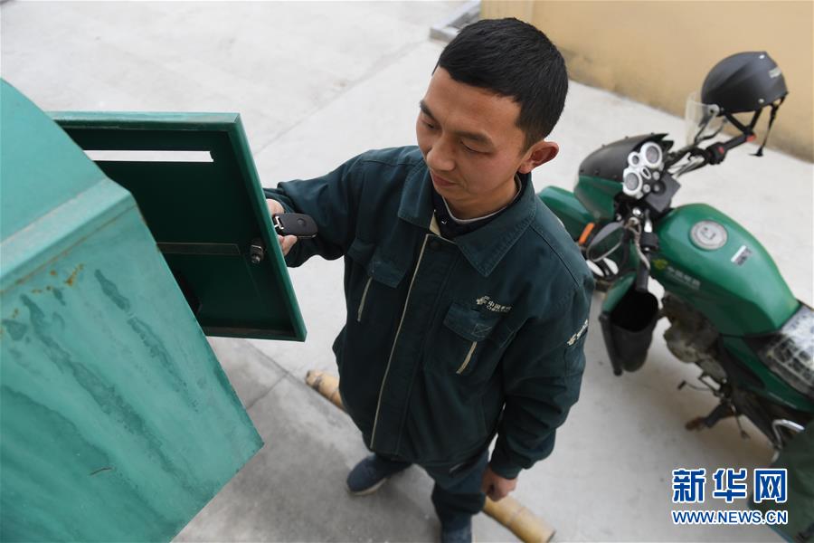 智勇之巔：揭秘「紮金花」背後的心理博弈與巔峰藝術 