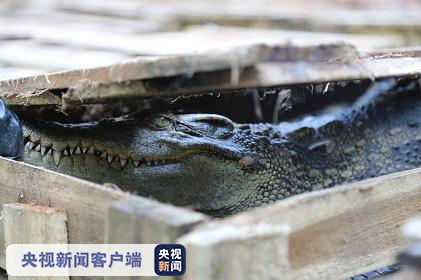 凯乐吧网站|民间故事:别和狐狸交朋友